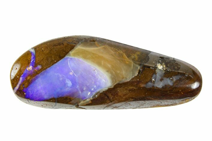 Galactic Boulder Opal Specimen - Queensland, Australia #381830